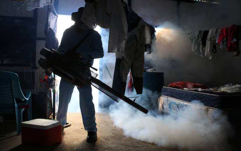 fumigacion